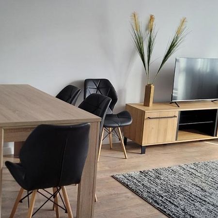 Apartament Edyta Stary Toruń Dış mekan fotoğraf