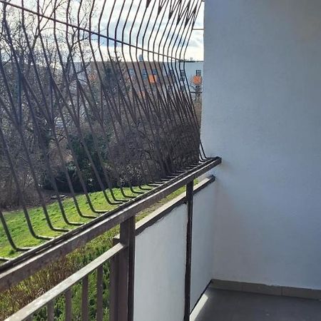 Apartament Edyta Stary Toruń Dış mekan fotoğraf